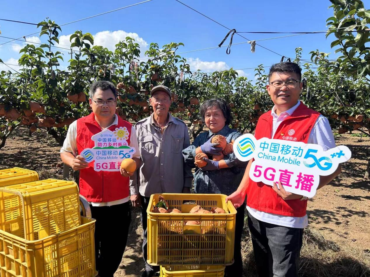 图片61.jpg